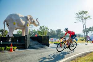 BIB: 
                            <button type="button" onclick="openModal(26183006)" class="btn btn-primary btn-sm float-right btn-popup" data-toggle="modal" data-target=".modal-high-quality">
                        <i class="fas fa-shopping-cart"></i> Add to Cart
                    </button>
                                            <button type="button" onclick="isThisMe(26183006, true)" class="btn btn-success btn-sm float-right btn-popup btn-isme hidden" data-toggle="tooltip" data-placement="bottom" title="นี่คือรูปของคุณใช่ไหม คลิกที่นี่เพื่อเอาเข้าอัลบั้ม">
                        <i class="fas fa-plus"></i> Add to album
                    </button>
                    <button type="button" onclick="isThisMe(26183006, false)" class="btn btn-warning btn-sm float-right btn-popup btn-isnotme hidden">
                        <i class="fas fa-ban"></i> Remove from album
                    </button>